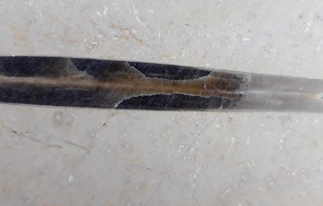 Hibolithes sp. (MONTFORT 1808) - Bild © FossNet FossilienStore